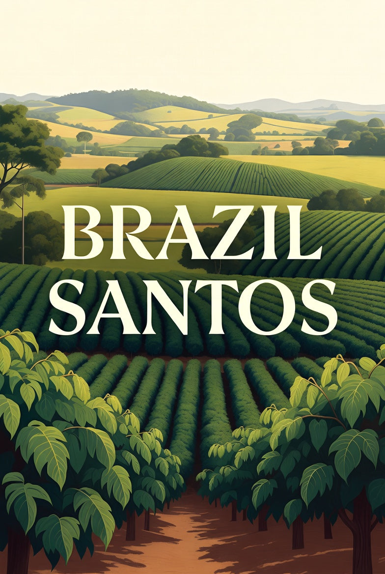 Brazil Santos